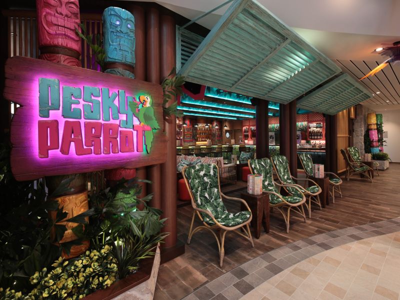 Pesky Parrot Bar