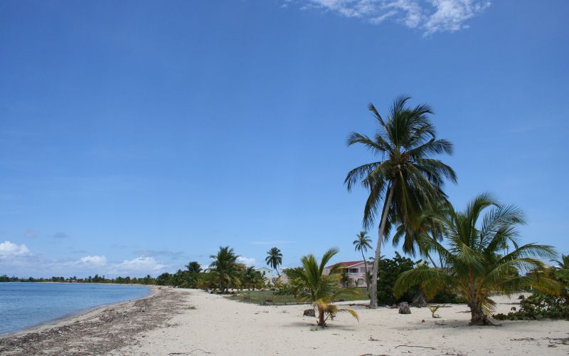 Placencia beachline