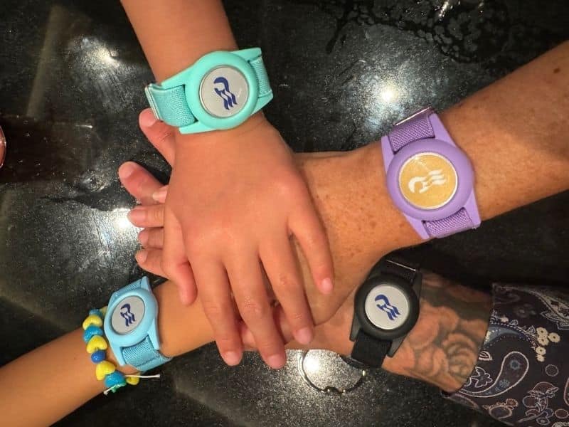 Four hands with Princess cruises medallion wristbands