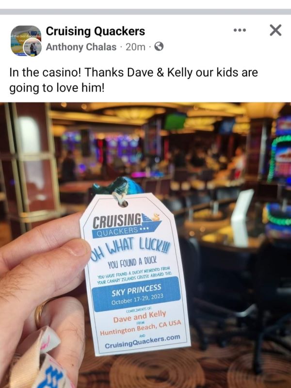 Facebook post showing a found duck on a cruise