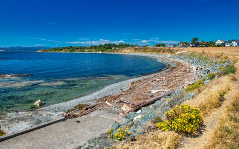 A serene view of the Strait of Juan de Fuca, with a clear blue sky overhead and a calm sea adjacent to a pebbly shore. Driftwood and sparse vegetation adorn the coastline, leading towards distant mountains on the horizon