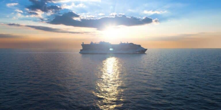 Sun Princess cruise ship at sea