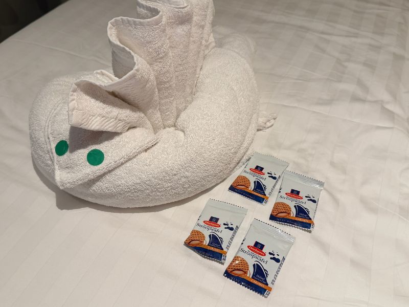 Towel Animal Holland America