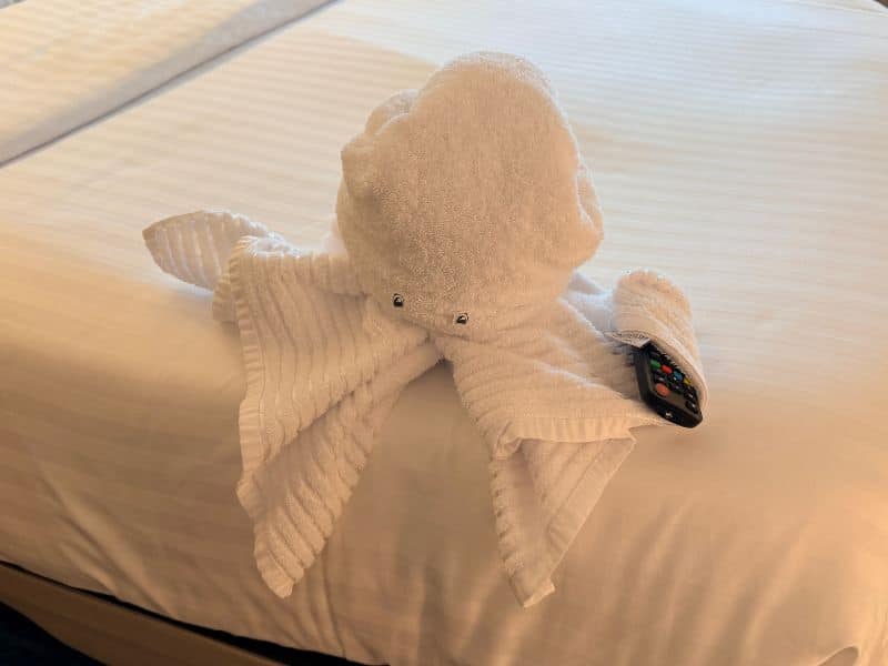 Towel Animal Squid on Legend of the Seas