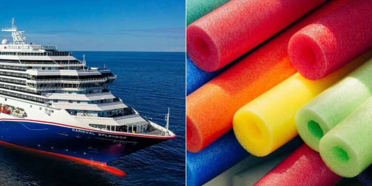 Carnival Pool Noodles