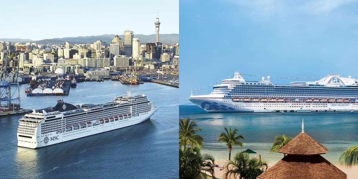 MSC Magnifica and Crown Princess