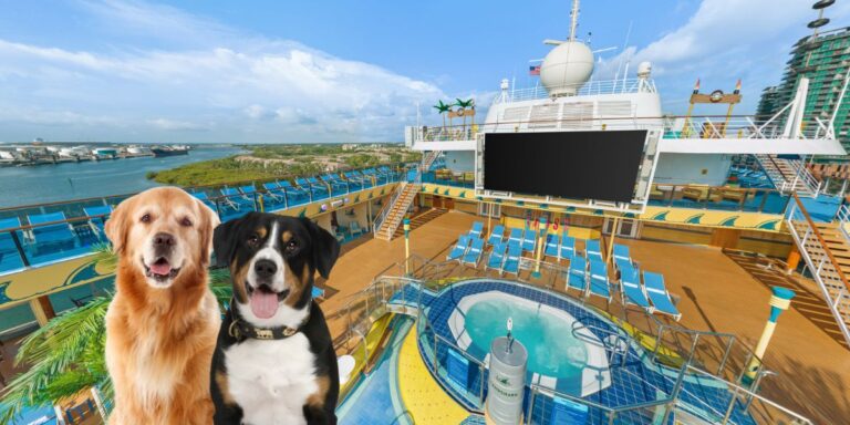 Cruise Tails Dog Friendly Cruise