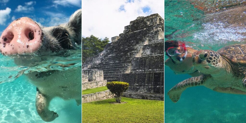 Best Caribbean Shore Excursions
