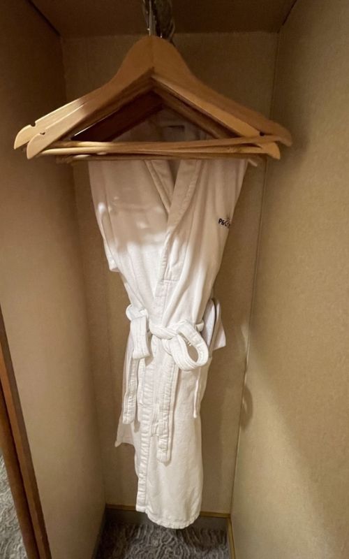 Bathrobe on a hanger