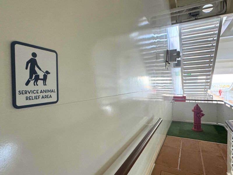 dog toilet on Disnbet cruise ship