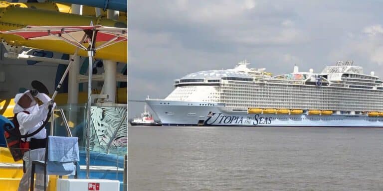 Utopia of the Seas bee infestation