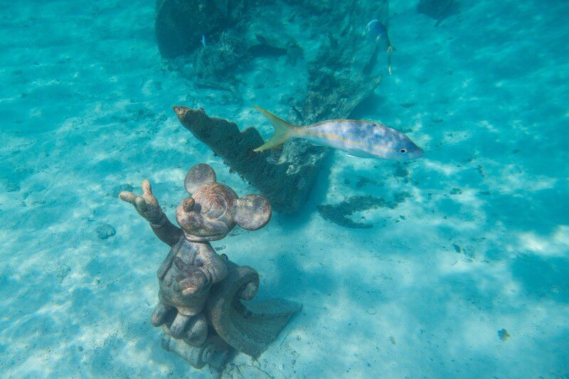 snorkelling at Castaway Cay