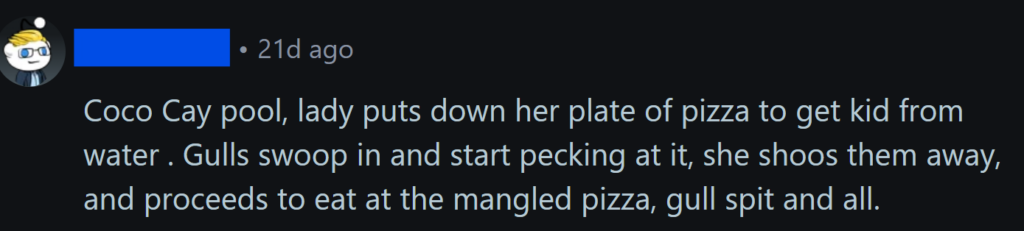 "Coco Cay pool, lady puts down her plate of pizza to get kid from water . Gulls swoop in and start pecking at it, she shoos them away, and proceeds to eat at the mangled pizza, gull spit and all."