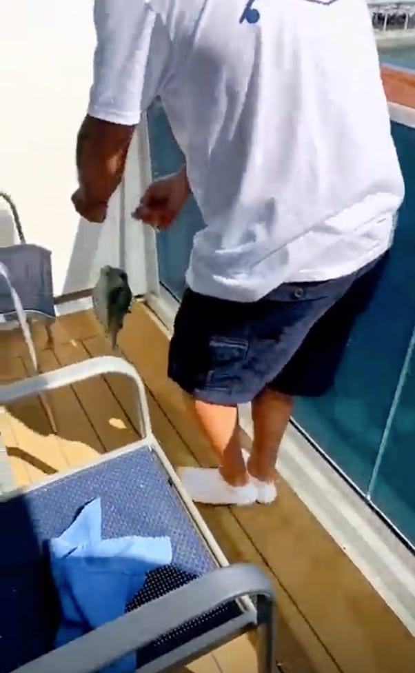 Man with fish on cruise ship balcony