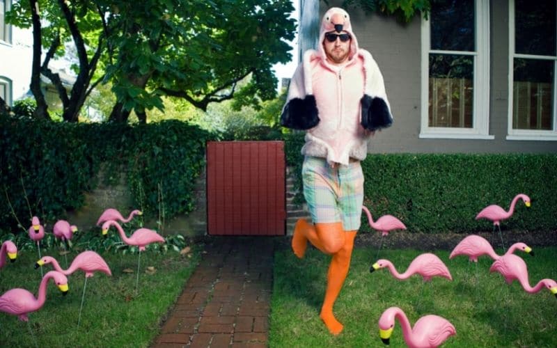 man with flamingos on lawn