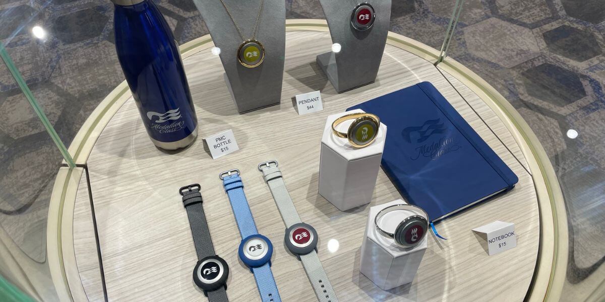 10 Best Princess Medallion Accessories