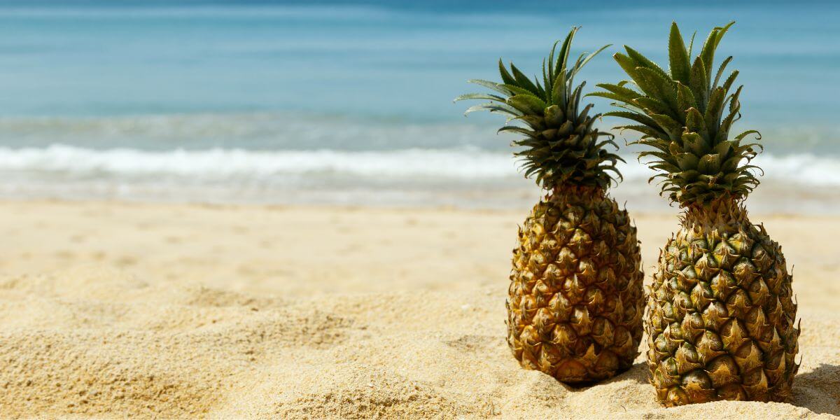 swinger pineapple hanging on front porch