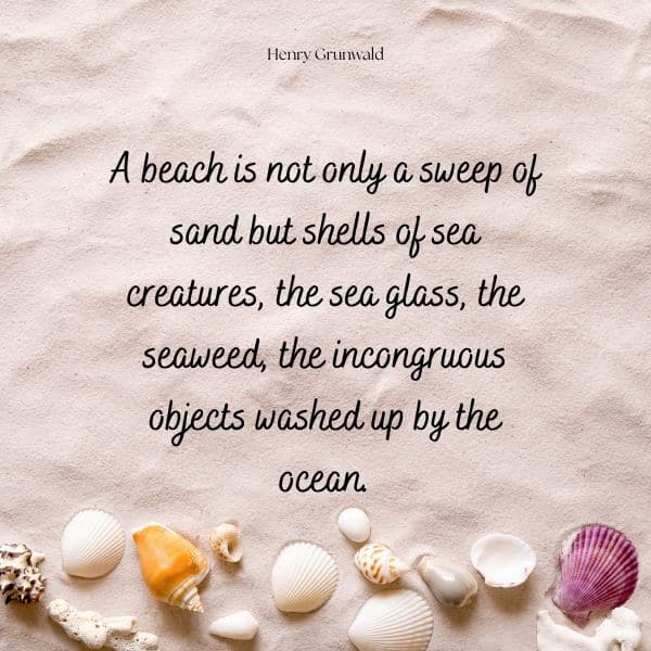 Quote about the beach and its sand, sea creatures and other objects