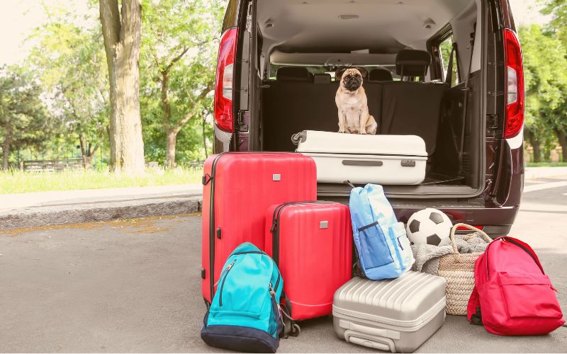 Carry-on bags with different sizes