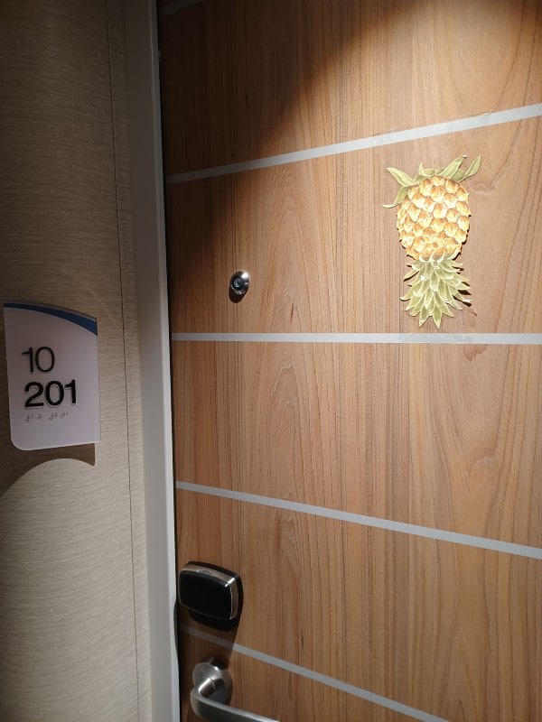 upside down pineapple on cruise ship door as a joke