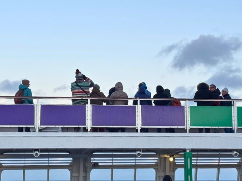 Whale watching on a cruise ship